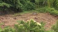 宮城・仙台市でクマ1頭を捕獲し駆除　箱わなにかかる　23日に確認された“木登りクマ”か　市内で目撃相次ぐ