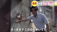 「すでに50件近くの駆除依頼が来ています」北海道で増える”あの虫”相次ぐ駆除の依頼は過去5年で倍以上に_屋内での繁殖だけでなく“屋外からの侵入”にも注意…対策のポイントは？