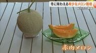冬に味わえる「赤肉のメロン」　サラリーマンから転身し総社市でメロン栽培に携わる男性のこだわり【岡山】