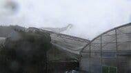 沖縄接近の台風6号　倒木、停電で早くも被害　風にあおられ男性転倒　鹿児島含め約10万人に避難指示