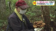 “優しく引いてあげないと”　採りたて“最高峰”キノコ「衛生指…