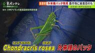 ”生き物研究部”の高校生がお手柄！　農作物への被害もたらす『…