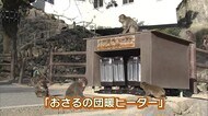 サル用電気ストーブ登場 大分・高崎山