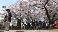 北上展勝地さくらまつり開催へ 新型コロナで2020年は中止<岩手・北上市>
