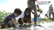 地域の高齢者と子ども達が交流…“イチゴ”の苗を植え付け 来年春には収穫体験も