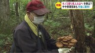 “優しく引いてあげないと”　採りたて“最高峰”キノコ「衛生指導員」の三つ星級料理　【長野発】