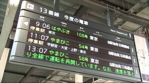 東北新幹線 全線で運転再開 11日ぶり<岩手県>