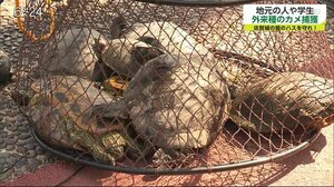 堀のハスを守れ! 佐賀大学の学生がミシシッピアカミミガメを捕獲【佐賀県佐賀市】