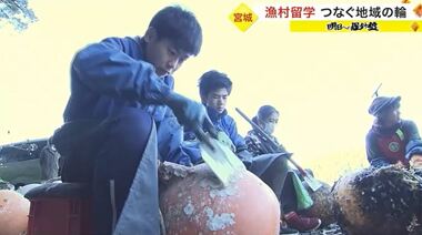 都会の子供たちが雄勝町で「漁村留学」 津波で傷ついた被災地でつなぐ“地域の輪”【宮城発】