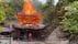 「消えずの火」宮島弥山の霊火堂が全焼　長寿願う人が訪れる人気スポ…