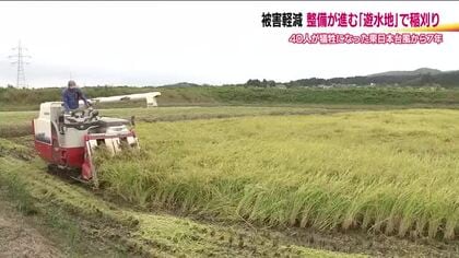 洪水対策の遊水地で稲刈り　防災と営農の両立を検証　コシヒカリ試験栽培で2年目の収穫　福島