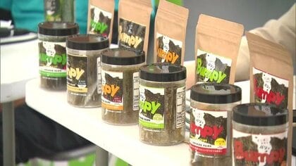 漁業者を悩ませる“色落ちノリ”が新商品に変身 黒くならない養殖ノリに命を吹き込んだ独自の加工技術とアイデア