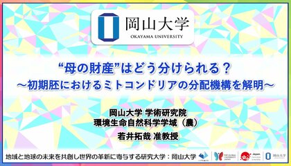 【岡山大学】“母の財産”はどう分けられる?~初期胚におけるミトコンドリアの分配機構を解明~