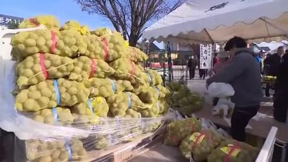 福野特産のサトイモを味わって  今年の販売量は例年の8割に留まり、買い求める人の長い列