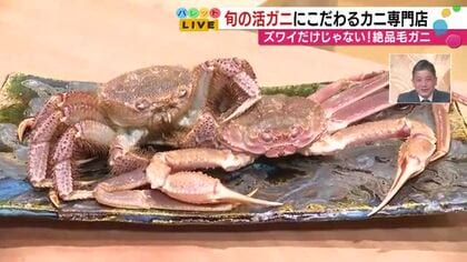 能登の絶品毛ガニに舌鼓　金沢・西茶屋街にオープン。全国展開「かにじぇんぬ」が北陸初出店
