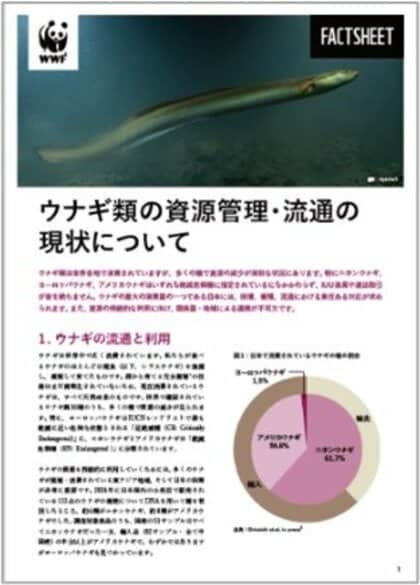 WWFジャパンと中央大学、ウナギの取引と流通の最新動向をまとめたファクトシートを共同発表