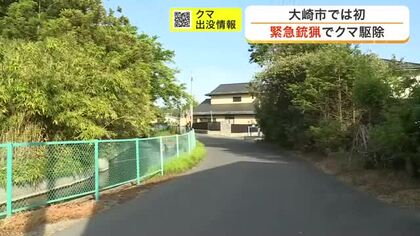 大崎市で初の緊急銃猟によるクマ駆除を実施　住宅敷地内の雑木林に潜伏　住民への危害を考慮して決断　宮城