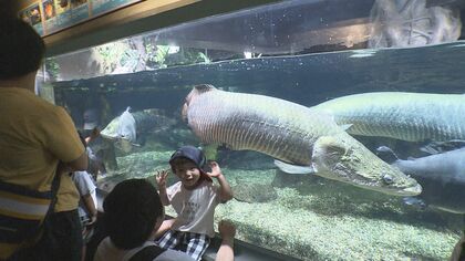 梅雨明け前の『海の日』東海3県は海水浴場など賑わう 午後から雨模様も“アクア・トトぎふ”には多くの人