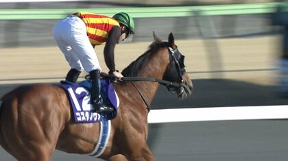 【フェブラリーＳ・GⅠ】今年もやっぱりルメール！2026年最初のGⅠウィナーは “東京ダートの鬼”コスタノヴァ！史上3頭目の連覇達成