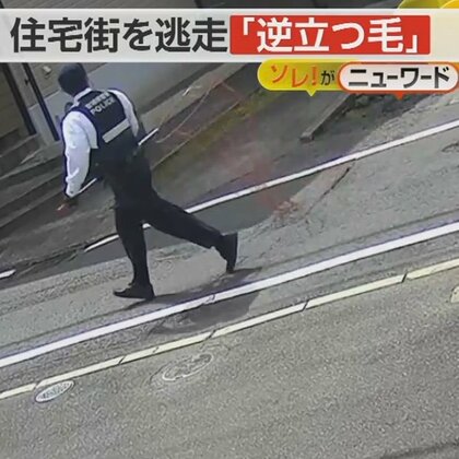 イノシシがUターン！住宅街を逃走　“逆立つ毛”で興奮状態か…市職員と警察官が追跡も結局見つからず　宮崎市