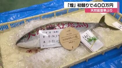過去最高額に並ぶ４００万円　天然能登寒ぶりの最高級ブランド「煌」　初競り