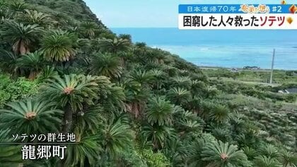 ソテツがなかったらご飯はない」アメリカ統治下の鹿児島・奄美群島 島民の空腹を満たし命をつないだ方法を再現｜FNNプライムオンライン