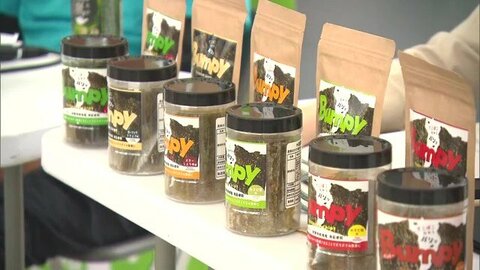 漁業者を悩ませる“色落ちノリ”が新商品に変身 黒くならない養殖ノリに命を吹き込んだ独自の加工技術とアイデア