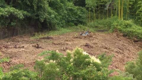 宮城・仙台市でクマ1頭を捕獲し駆除　箱わなにかかる　23日に確認された“木登りクマ”か　市内で目撃相次ぐ