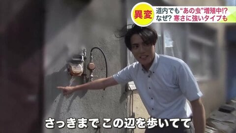 「すでに50件近くの駆除依頼が来ています」北海道で増える”あの虫”相次ぐ駆除の依頼は過去5年で倍以上に_屋内での繁殖だけでなく“屋外からの侵入”にも注意…対策のポイントは？
