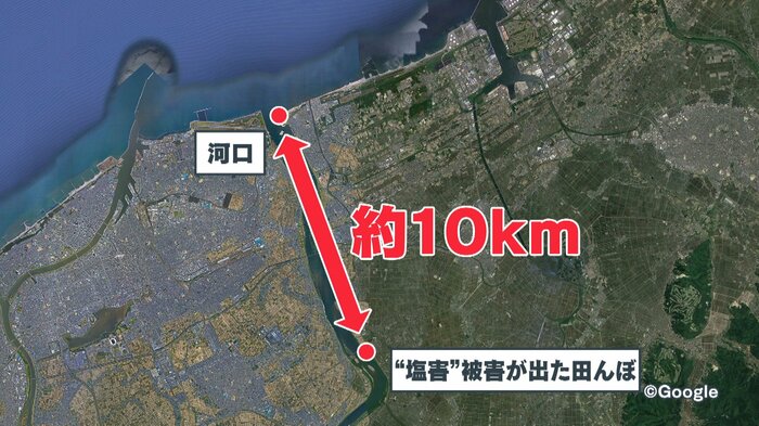 (河口から田んぼまで約10km)