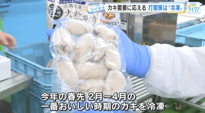 冷凍されたカキ