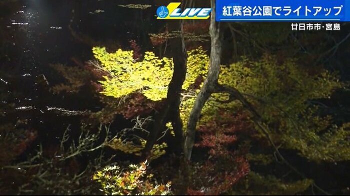 水鏡のもみじ