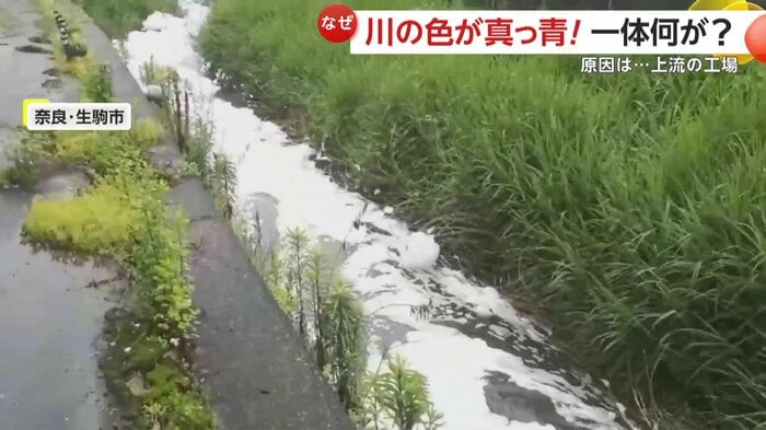 なぜか泡だらけの川(提供:生駒市役所)