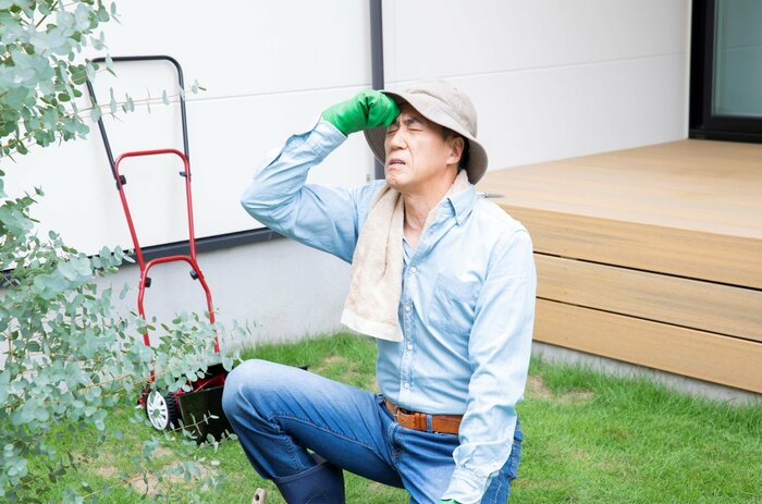 (イメージ)
