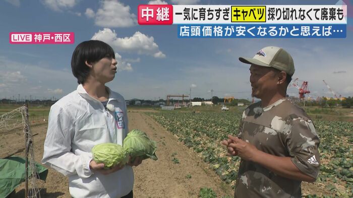 「旬感LIVE とれたてっ！」より