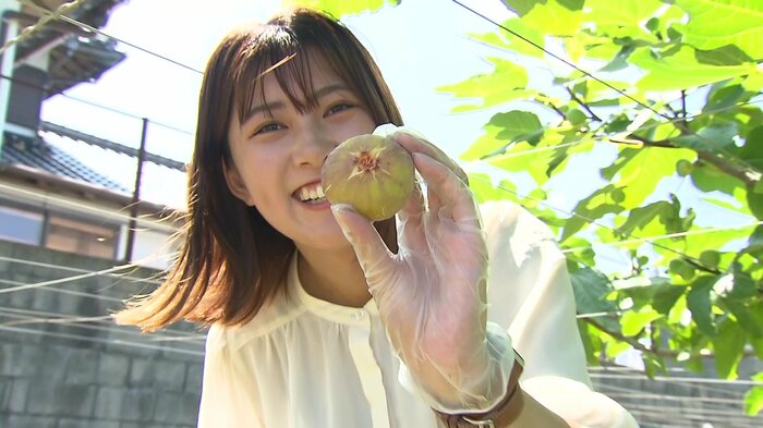 採れたてのイチジクを手に取る村上遥アナウンサー