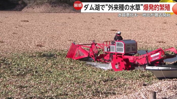 除去作業