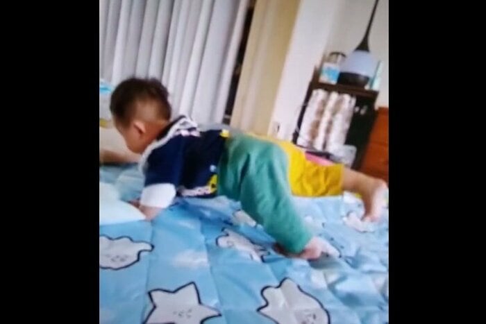 けばぶさんのお母さんが撮影した動画から。片足を上げて腕立て伏せ中?