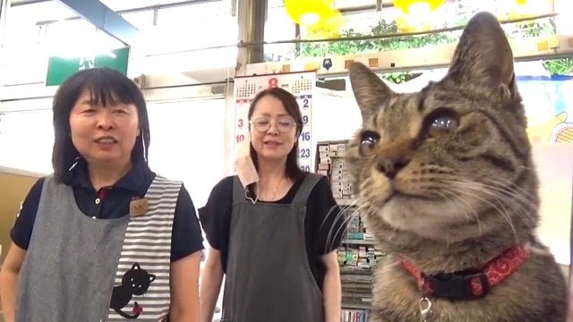 左から才川さん、スタッフ、シマ子