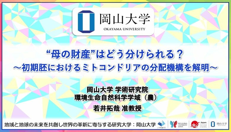 【岡山大学】“母の財産”はどう分けられる?~初期胚におけるミトコンドリアの分配機構を解明~