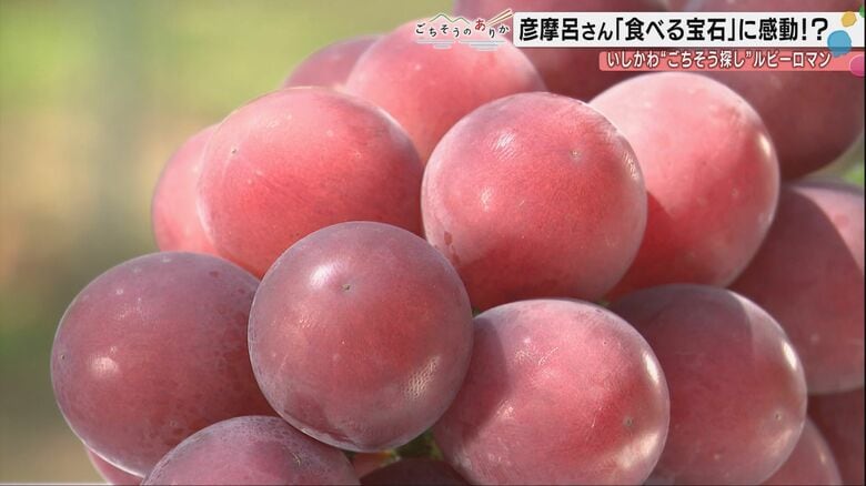 400本から選ばれた奇跡の1本 彦摩呂が驚いた「宝石のような輝き」を放つルビーロマンの生みの親とは｜FNNプライムオンライン