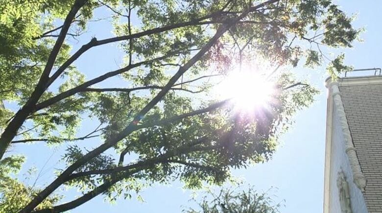 【速報】生活習慣病持つ人の「熱中症」入院リスク最大5倍増加…日常的な歩行習慣で入院リスク減も　住友生命が「熱中症白書」公表｜FNNプライムオンライン