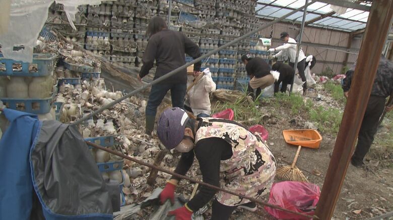 新東名沿線の“耕作放棄地”に着目…NEXCOの社員が畑再生し『枝豆』を栽培 コーヒー農園経営も視野に｜FNNプライムオンライン