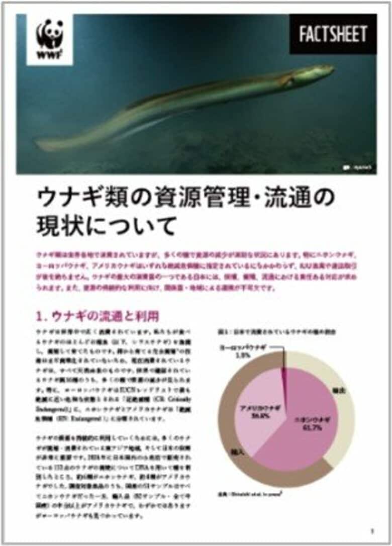 WWFジャパンと中央大学、ウナギの取引と流通の最新動向をまとめたファクトシートを共同発表