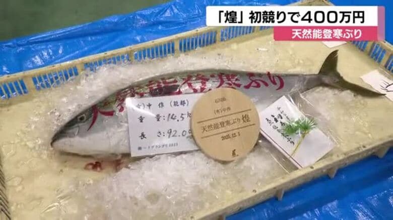 過去最高額に並ぶ４００万円　天然能登寒ぶりの最高級ブランド「煌」　初競り｜FNNプライムオンライン