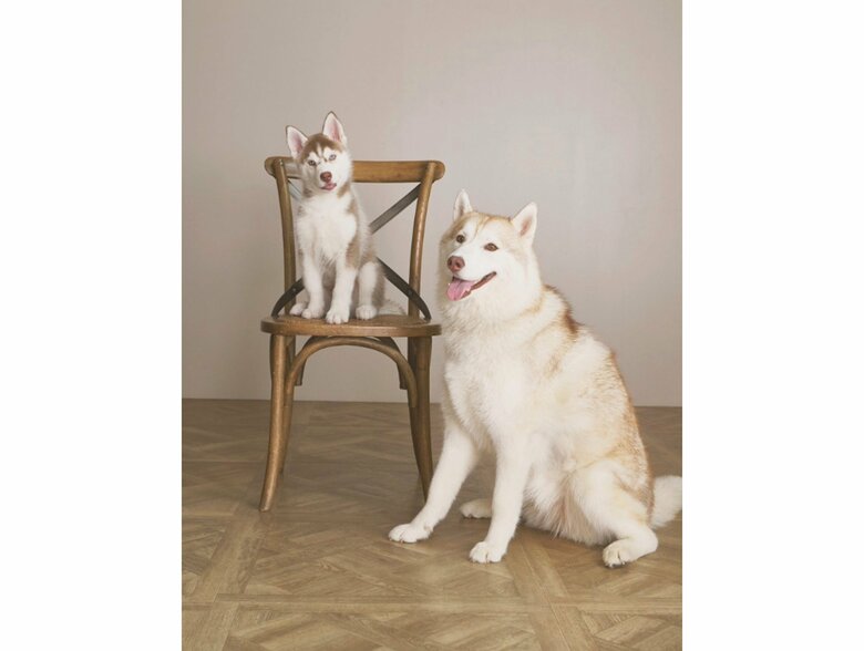 左：イチくん　右：ココちゃん（提供：ココとイチのままちゃん）