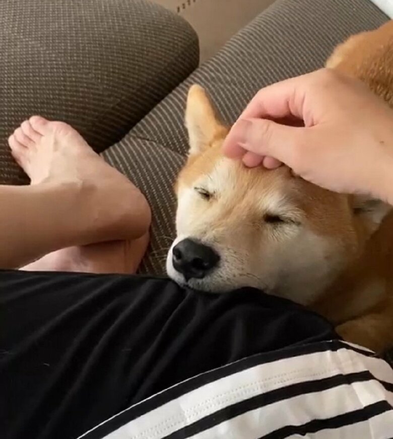 ぴったりくっついて甘えん坊な時も…