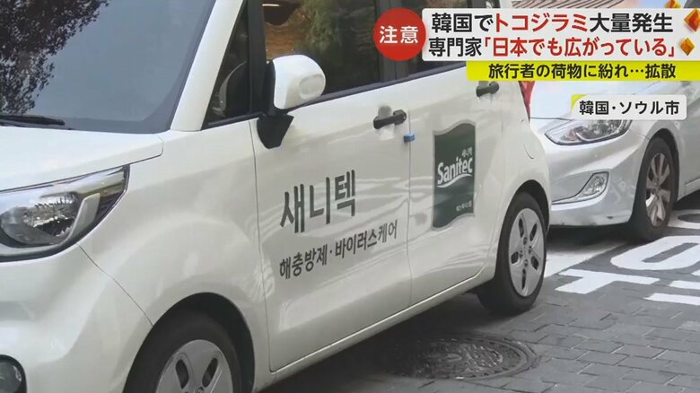 日本人観光客も多い明洞。害虫対策を行う業者の車が止まって苛