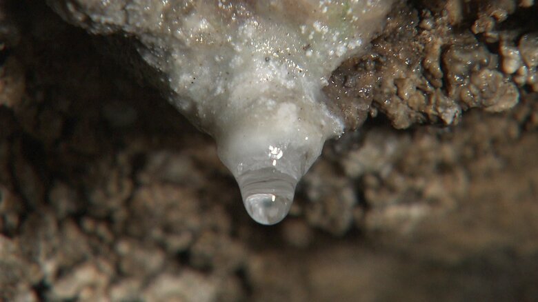 自然の芸術でひんやりをどうぞ