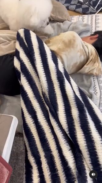 提供：エマ emmaさん